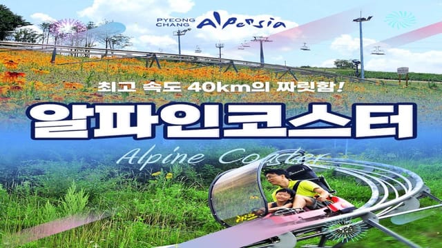 gangwon-pyeongchang-alpensia-alpine-coaster-boarding-pass_1